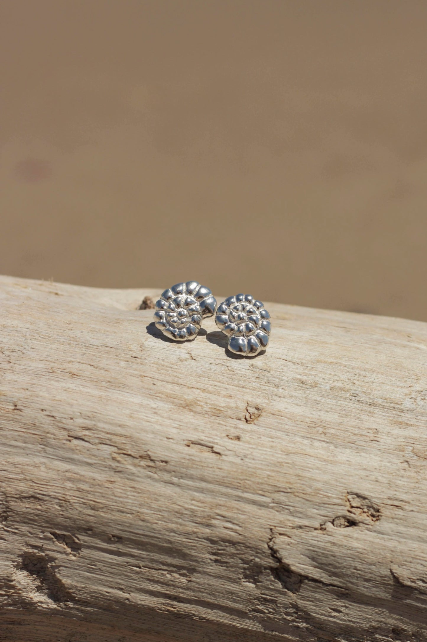 Sculptural Nautilus shell earrings in recycled sterling silver on coastal background