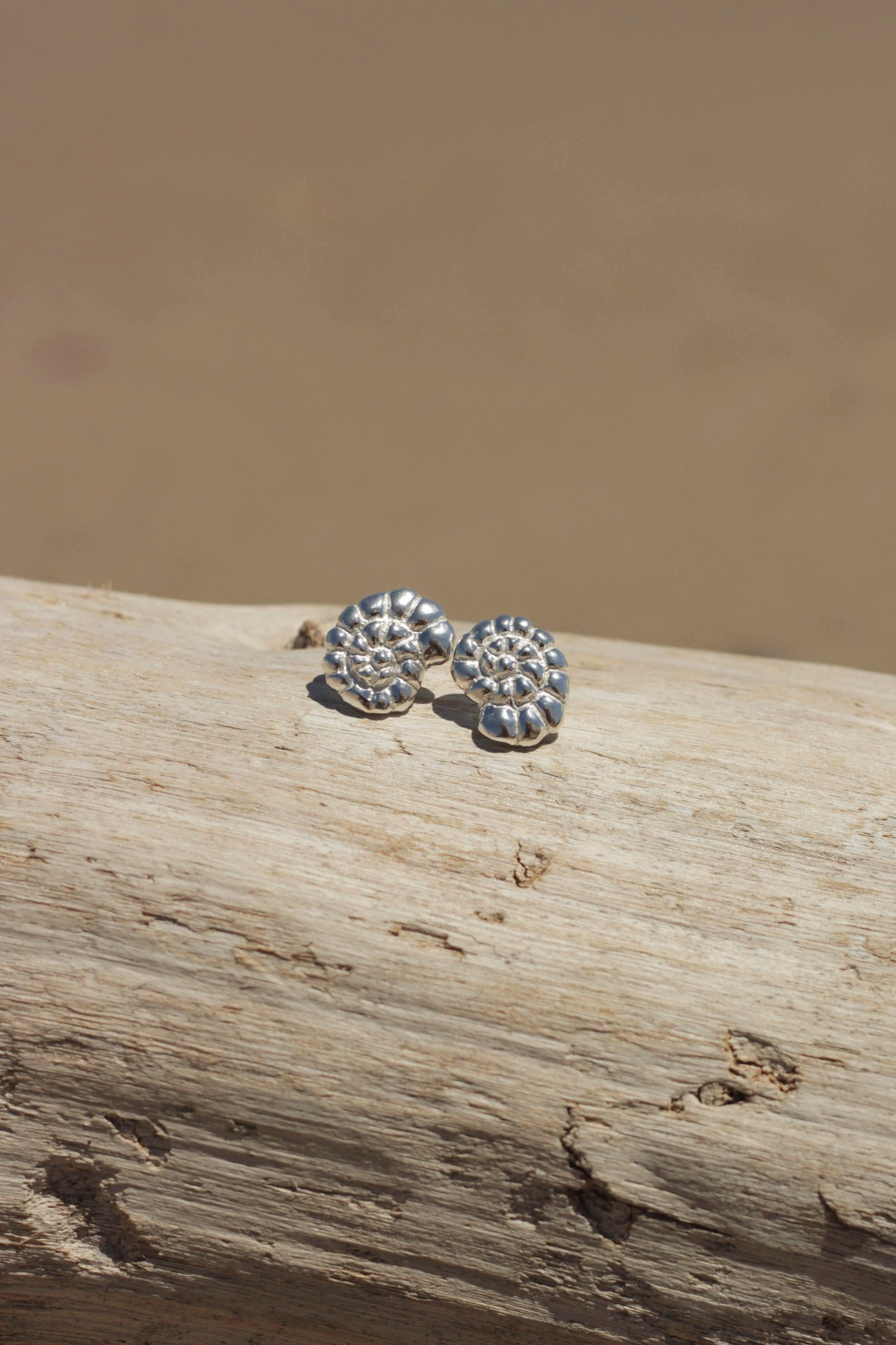 Sculptural Nautilus shell earrings in recycled sterling silver on coastal background