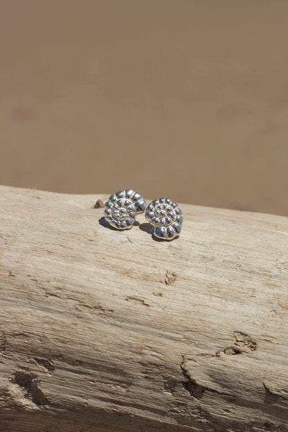 Sculptural Nautilus shell earrings in recycled sterling silver on coastal background